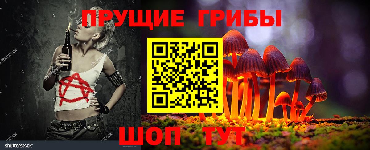 Псилоцибиновые грибы ЛСД Гусиноозёрск