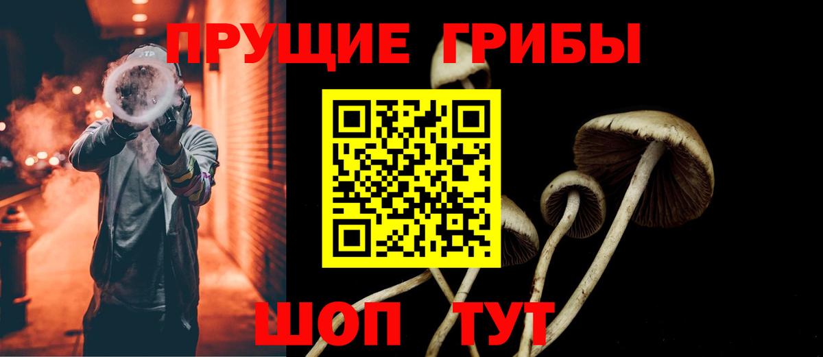 Псилоцибиновые грибы мухоморы  Вход с VPN  Гусиноозёрск 