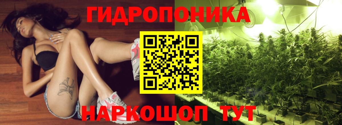 Шишки марихуана MAZAR Гусиноозёрск
